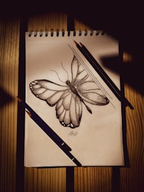 brown and black butterfly illustration