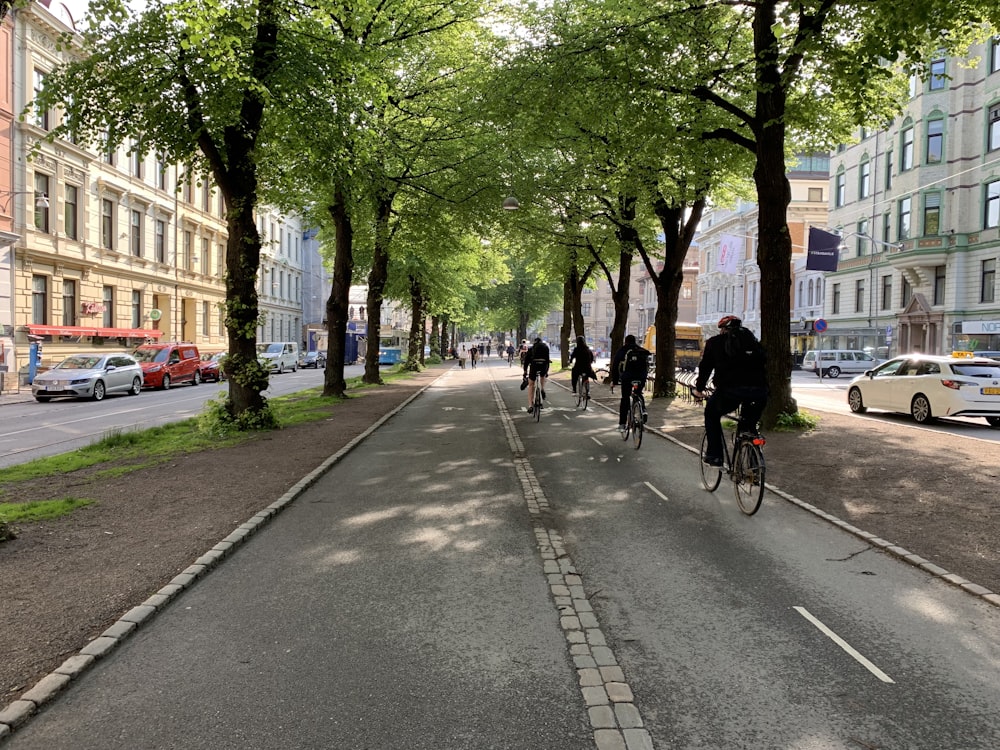 people walking on sidewalk near green trees during daytime