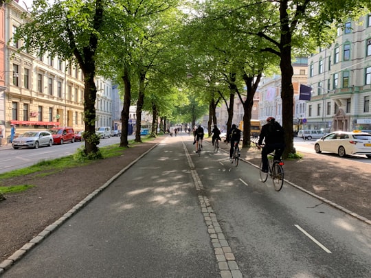 people walking on sidewalk near green trees during daytime in Vasastaden Sweden
