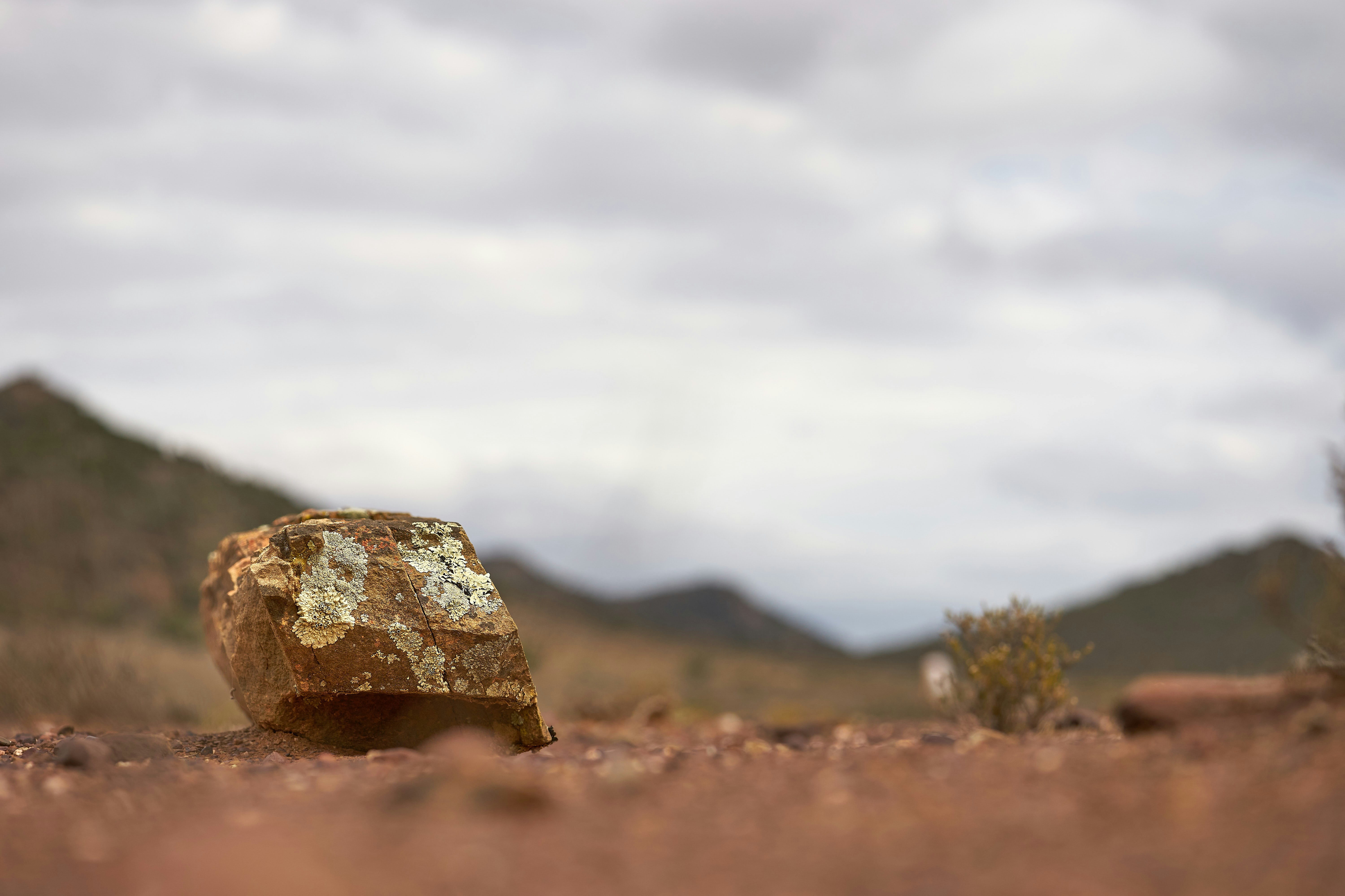 Photo by wolfgang_hasselmann