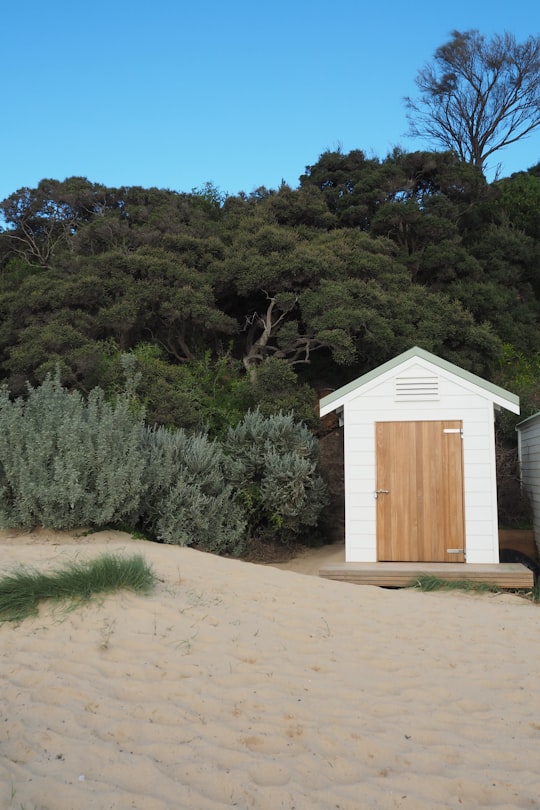 brown wooden house near green trees during daytime in Mornington Peninsula Australia