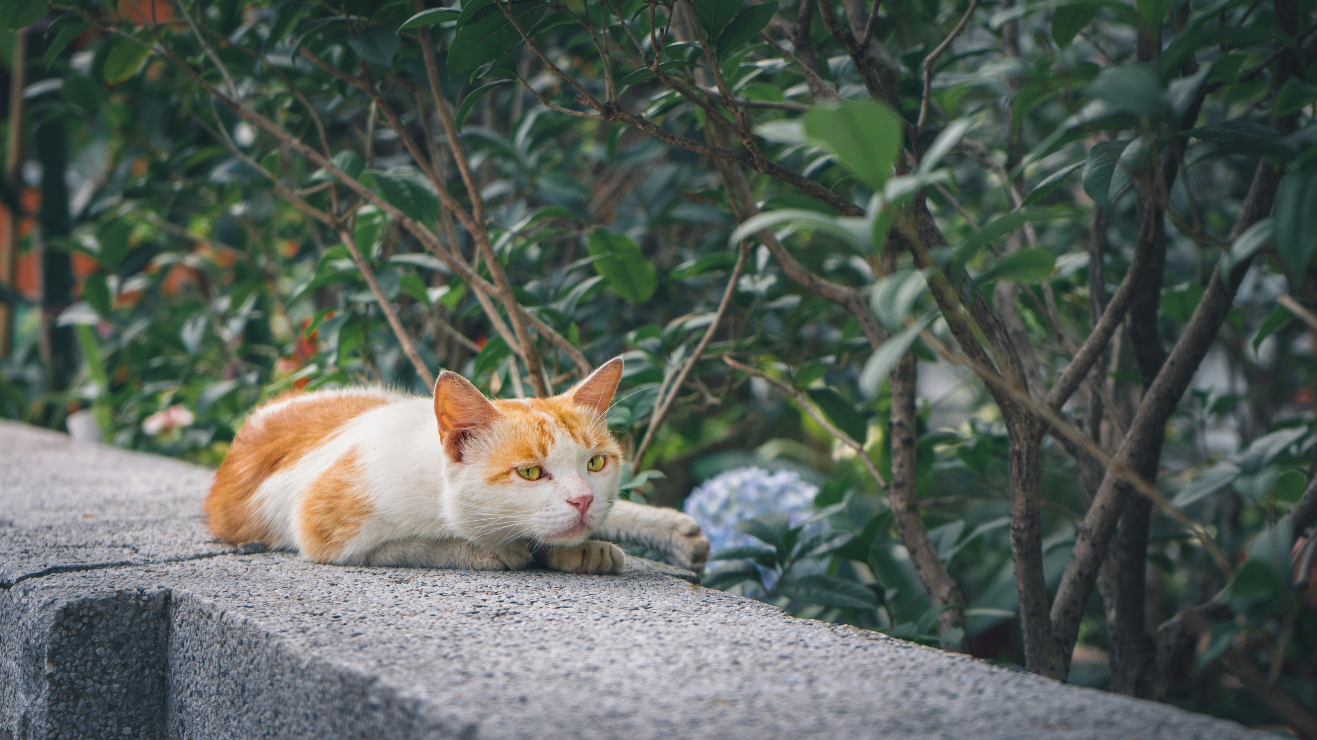 Photo by chuntung_kam