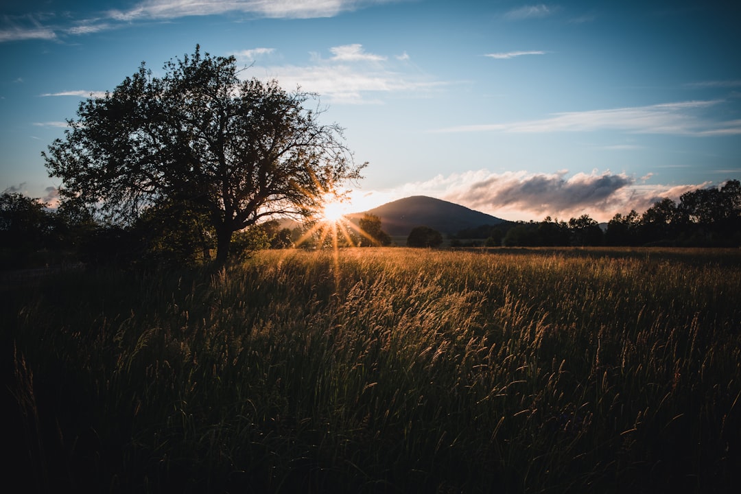 brown grass field near mountain during daytime