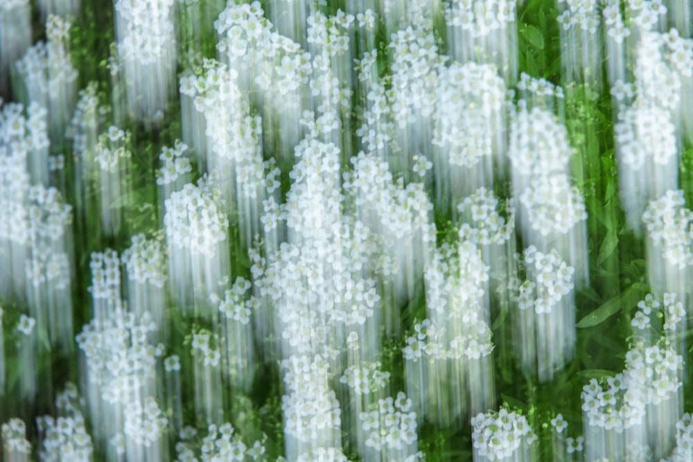 white and green floral textile