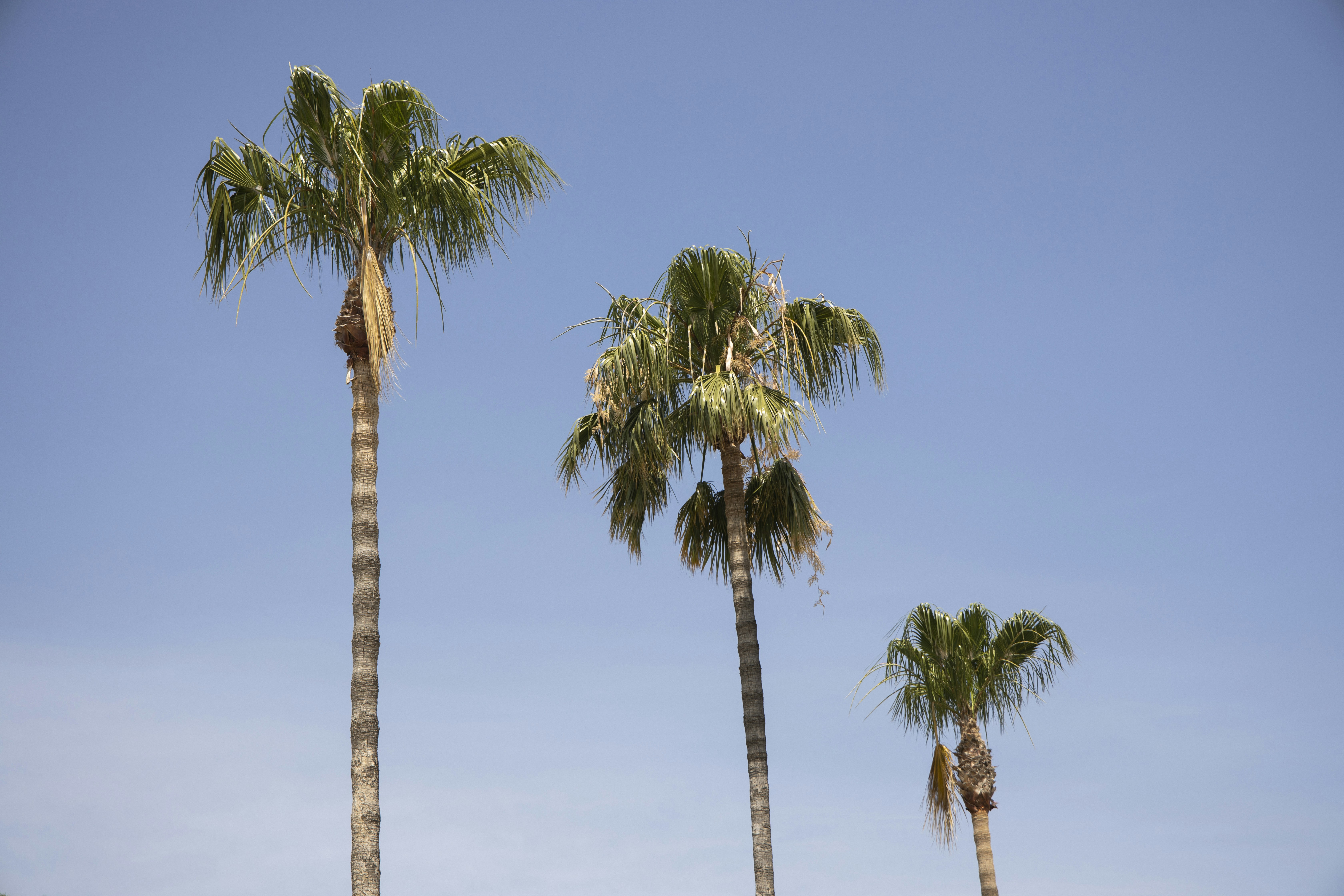 Photo by enginakyurt