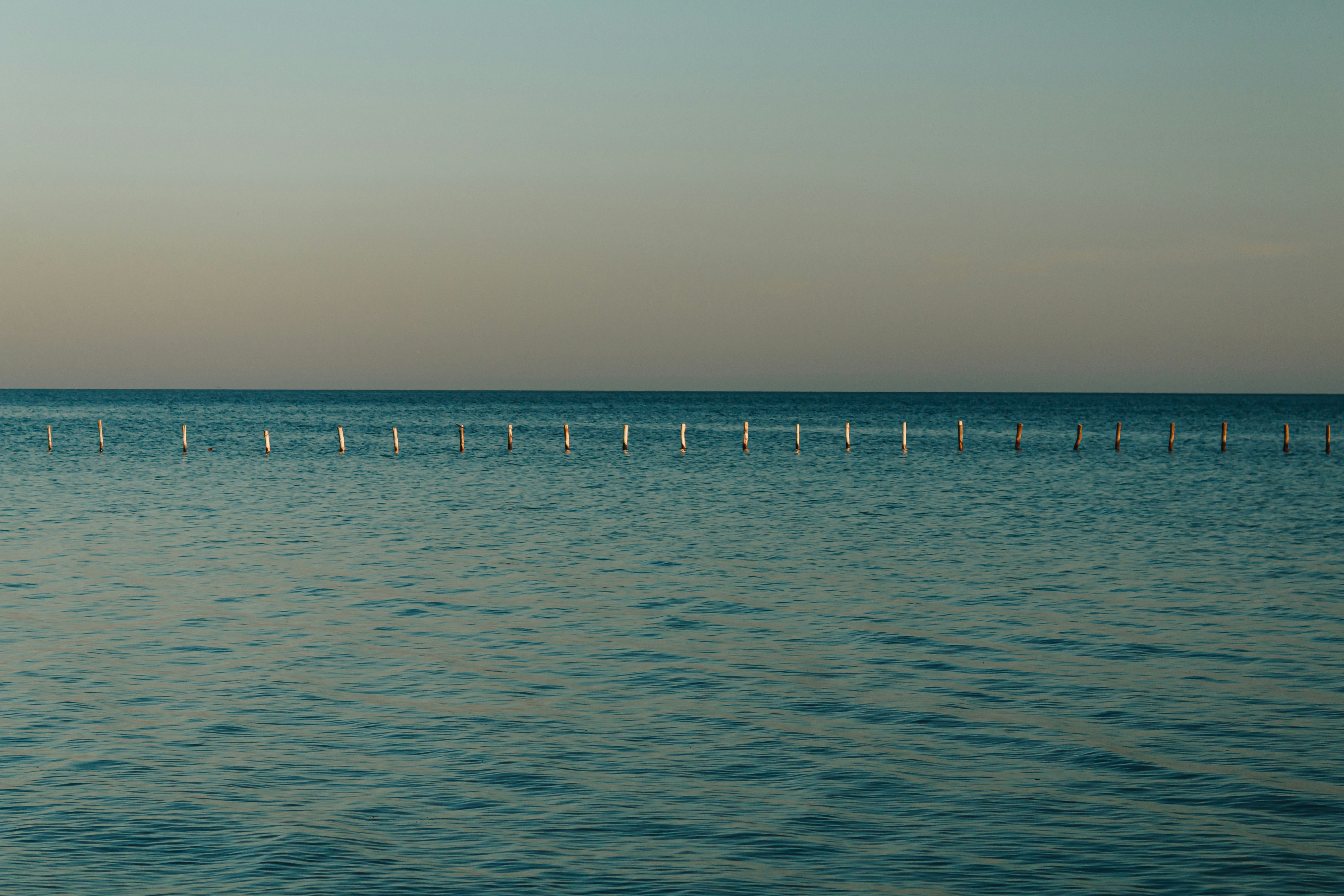 Photo by milohrodskyi