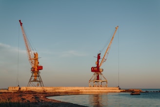 red and black crane on brown sand near body of water during daytime