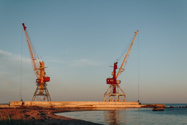 red and black crane on brown sand near body of water during daytime
