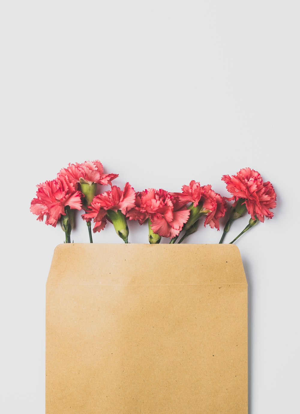 갈색 종이 봉지에 분홍색 장미