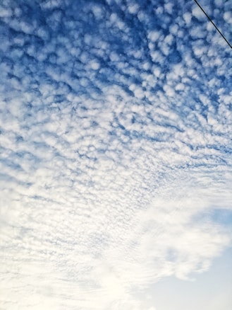 A sky filled with a pattern of fluffy, white clouds spread across a blue background with a thin power line cutting across the upper right corner.