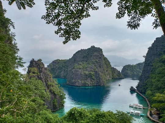 green trees on mountain beside river during daytime in Coron Island Philippines