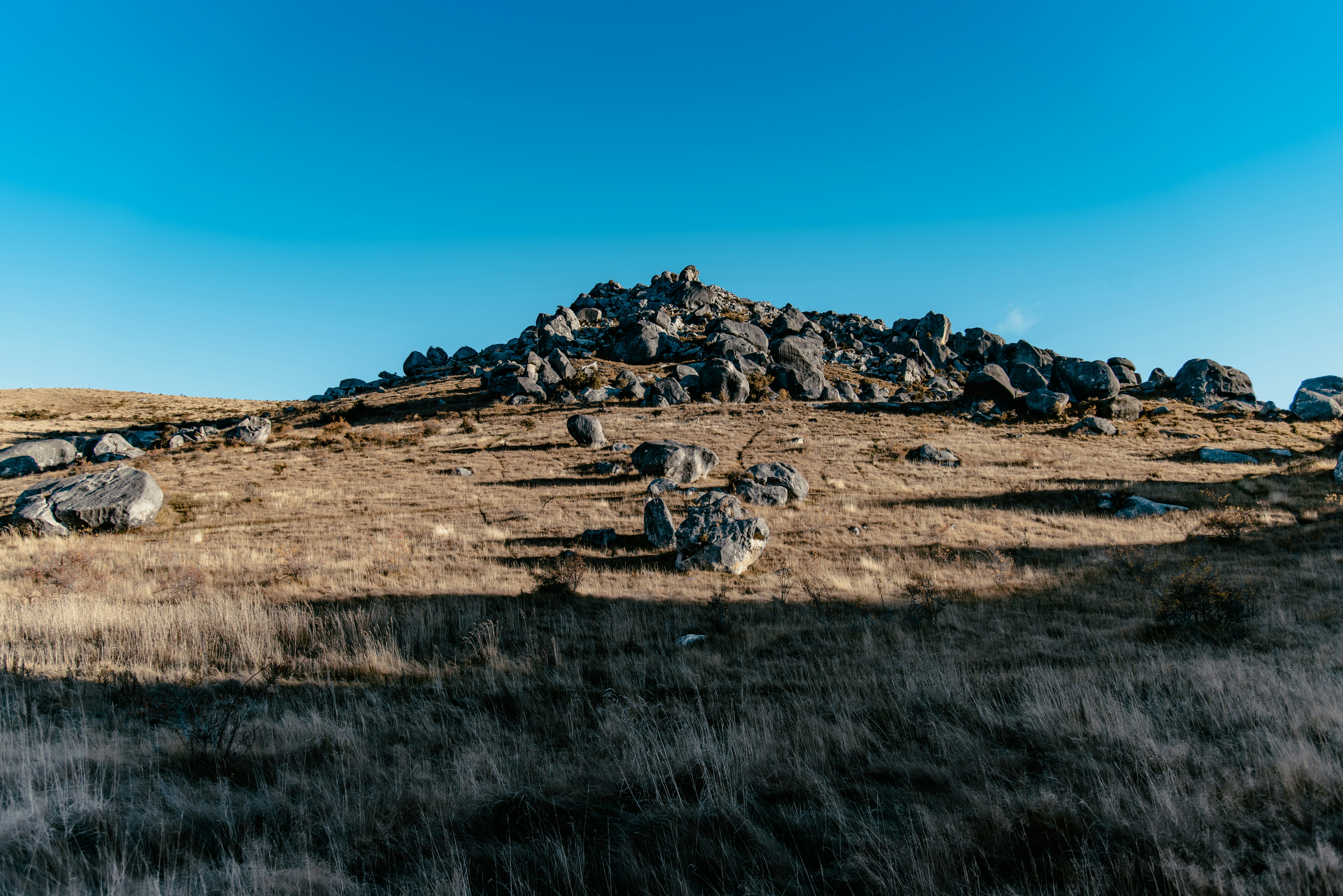 brown field under blue sky during daytime