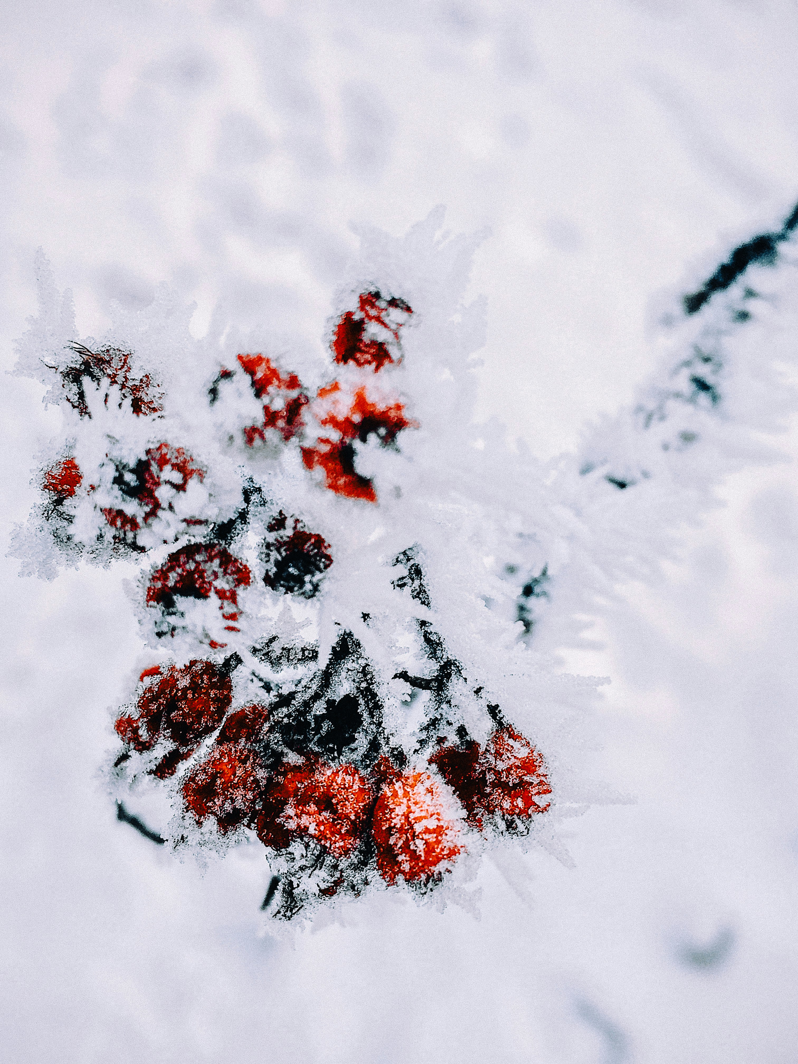 Photo by romanborisych