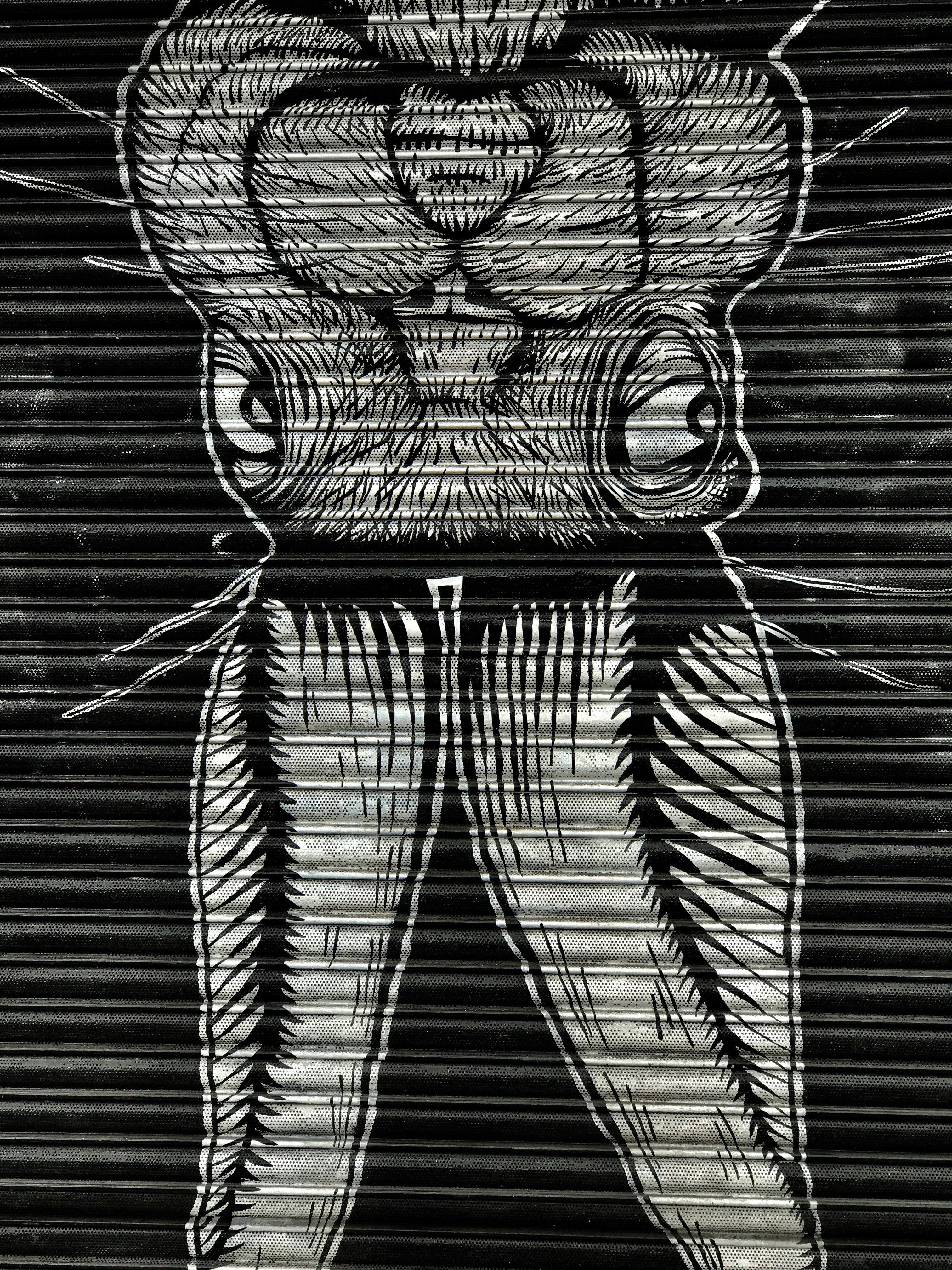 Photo by anniespratt