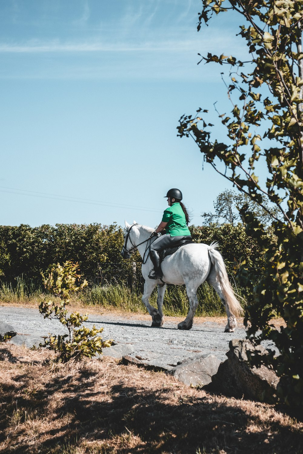 man in blue jacket riding white horse during daytime