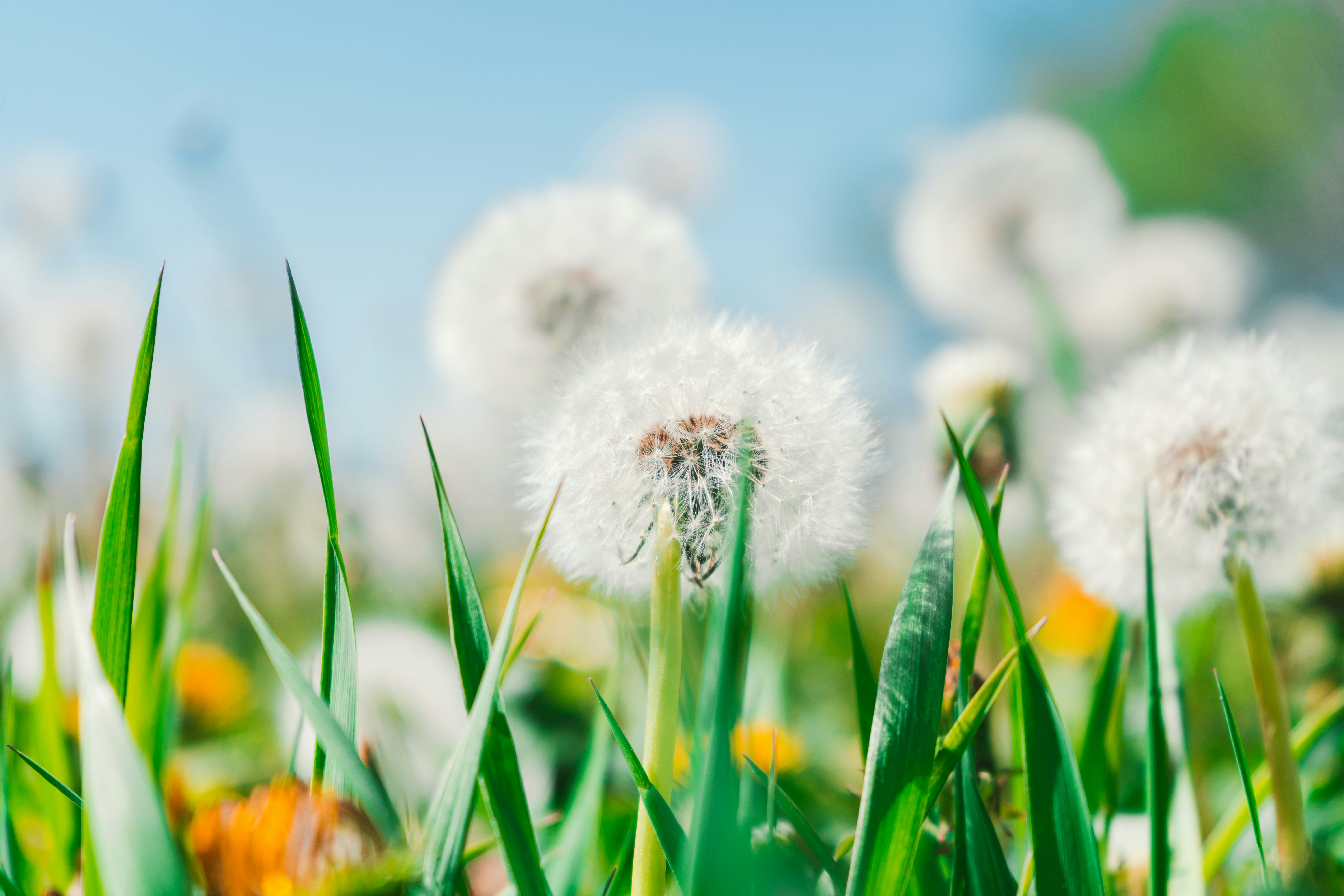 Photo by thestefankostic