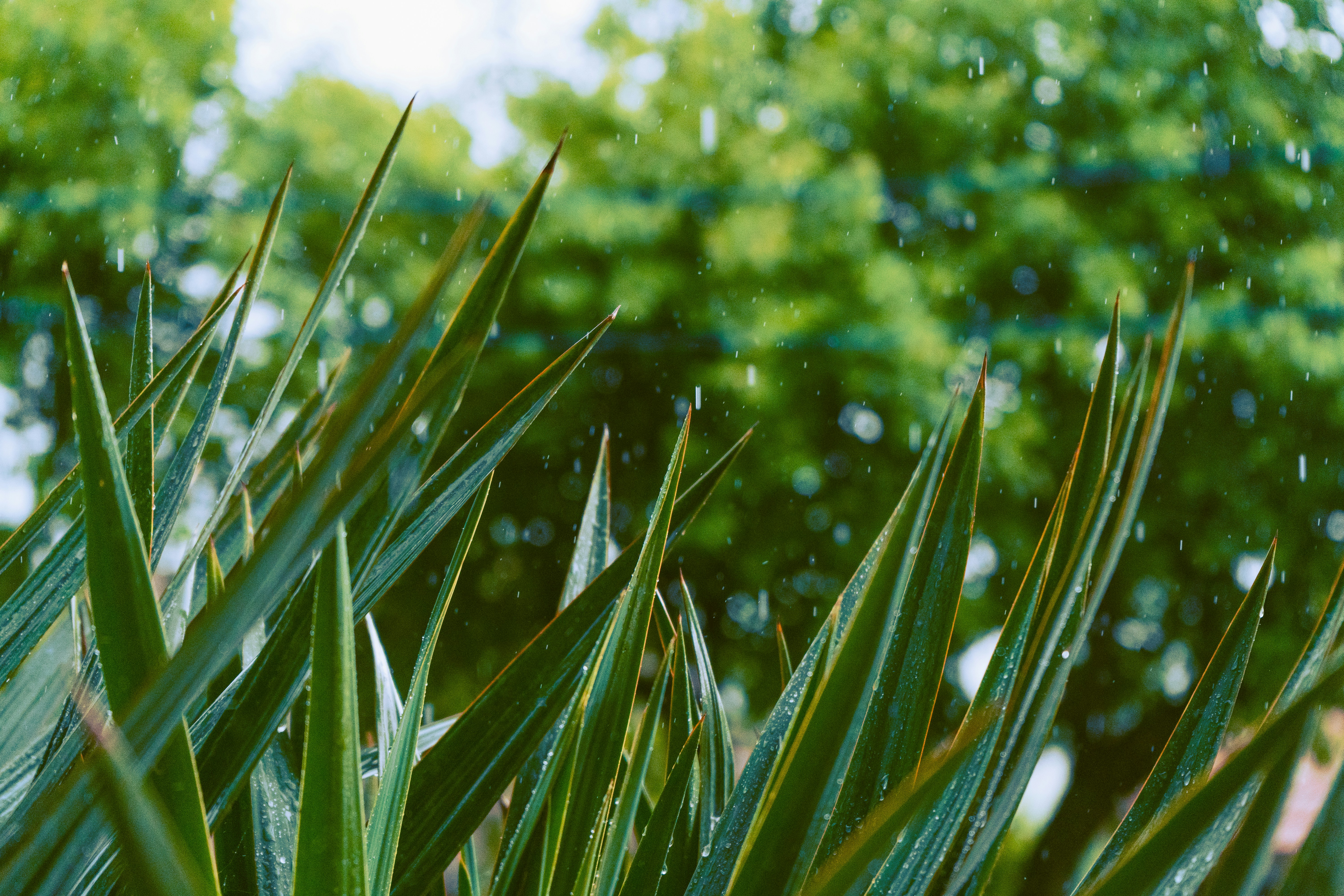 Photo by thestefankostic