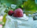 Bright kitchen scene with a spoonful of cream honey with raspberry, surrounded by fresh berries.