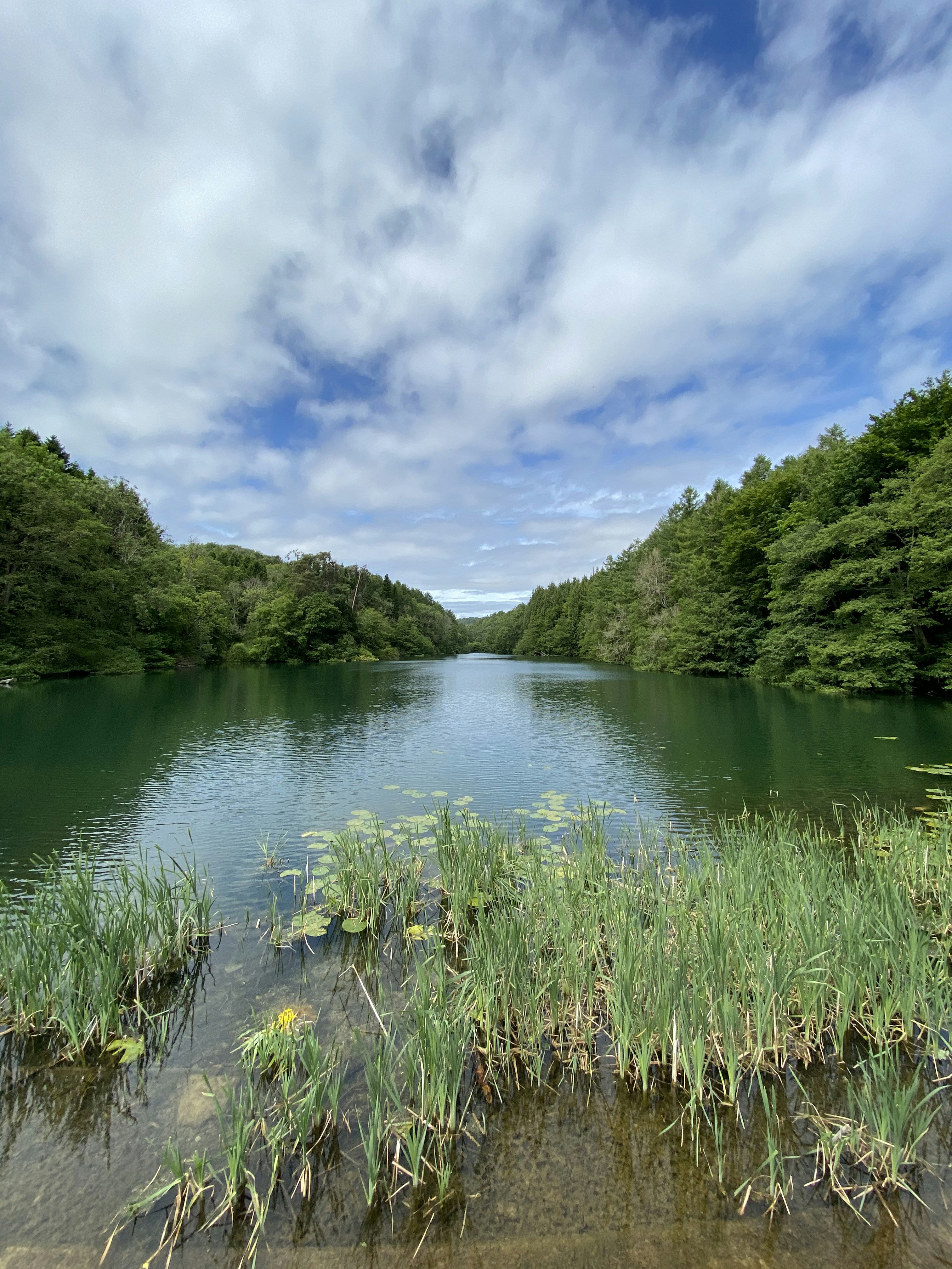 Photo by jakeholloway10