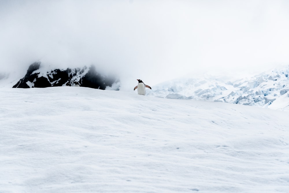 person in white shirt sitting on snow covered ground during daytime