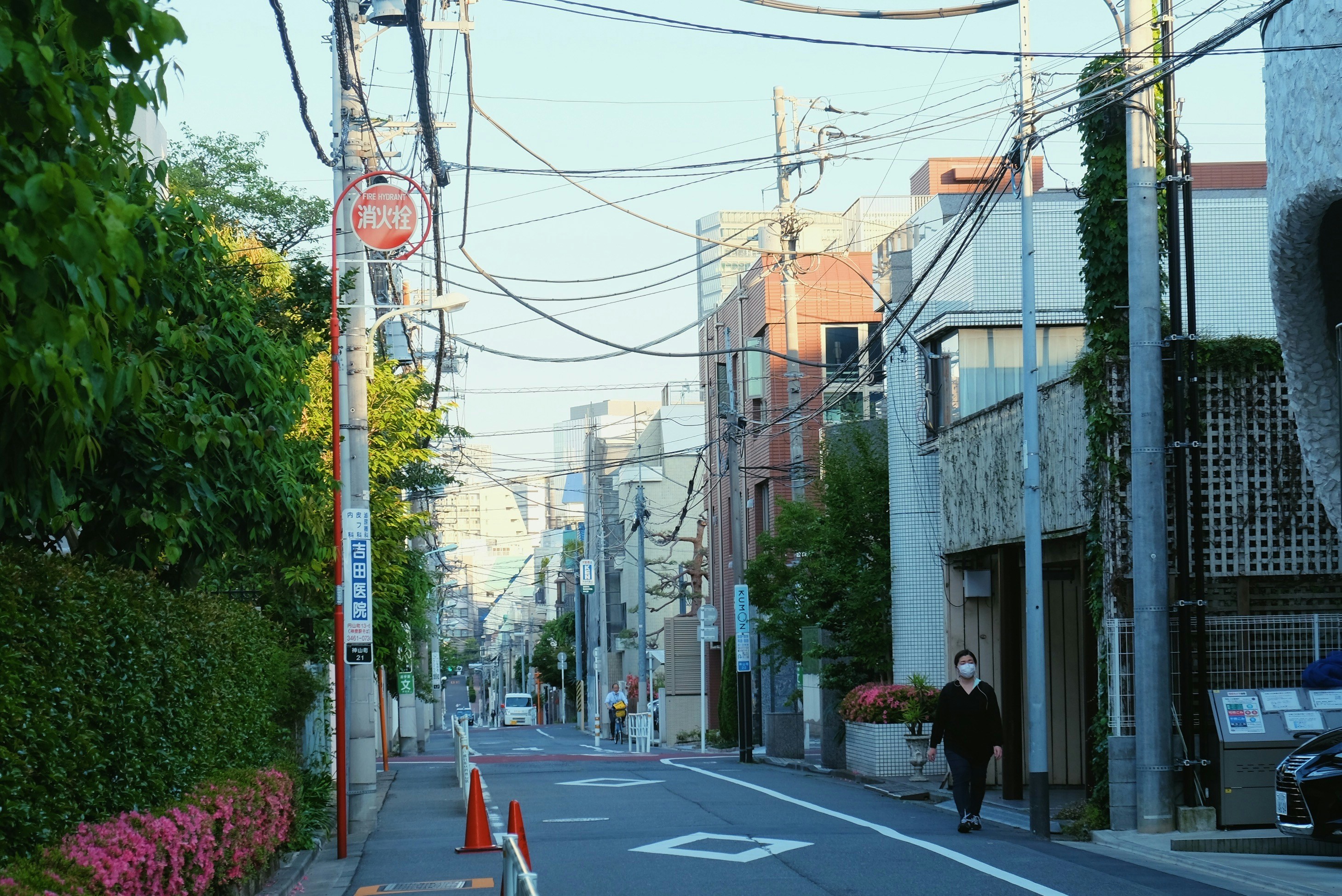 旅遊導遊必備：用日文說出日常生活習慣（口語 vs 書面語速成）