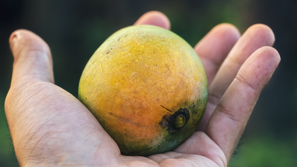 person holding yellow and red round fruit