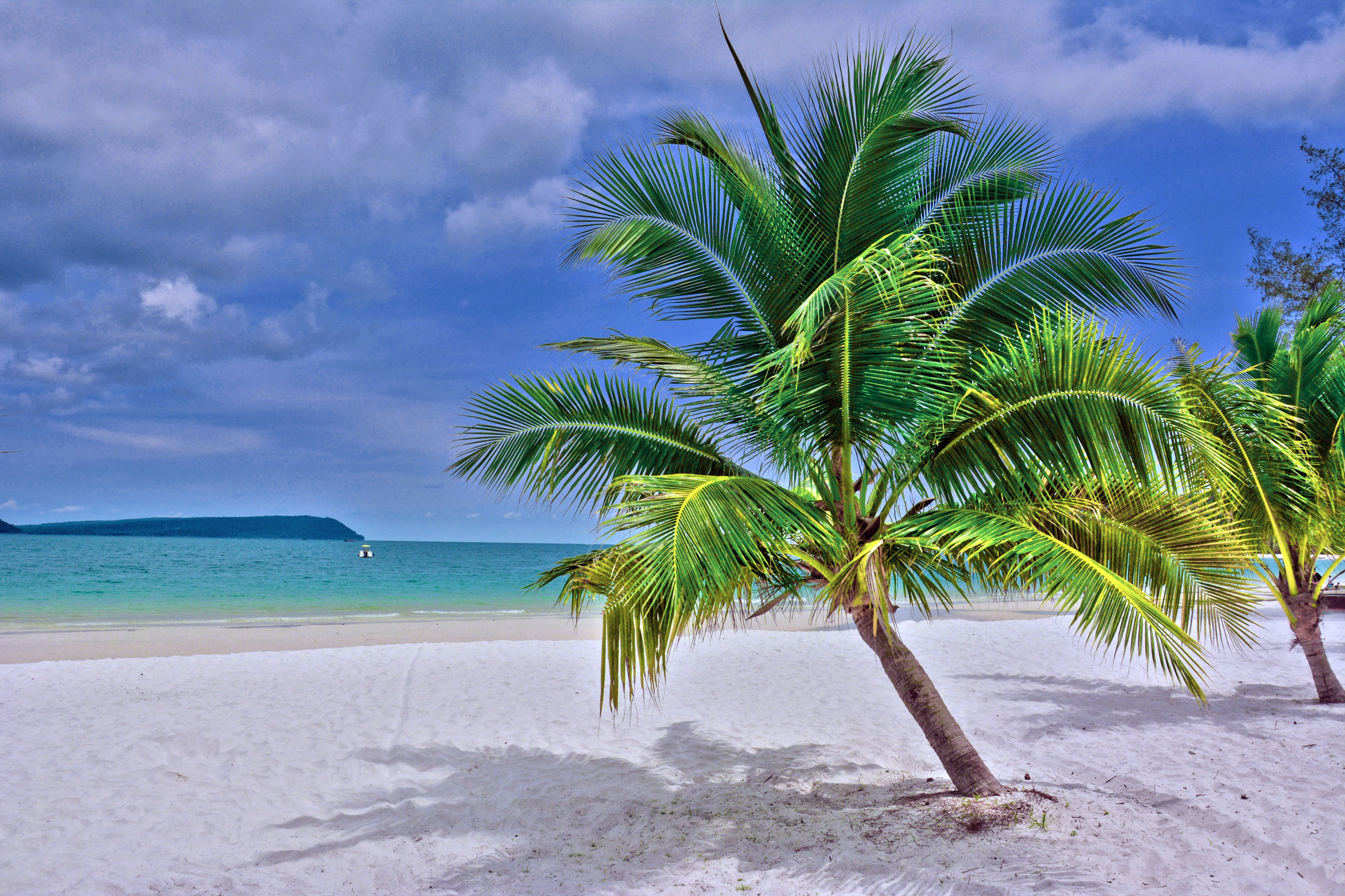 green palm tree on white sand beach during daytime, Paradise Beach in Koh Rong, Cambodia