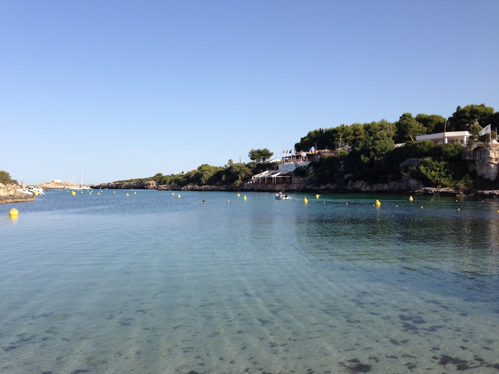 body of water near green trees under blue sky during daytime