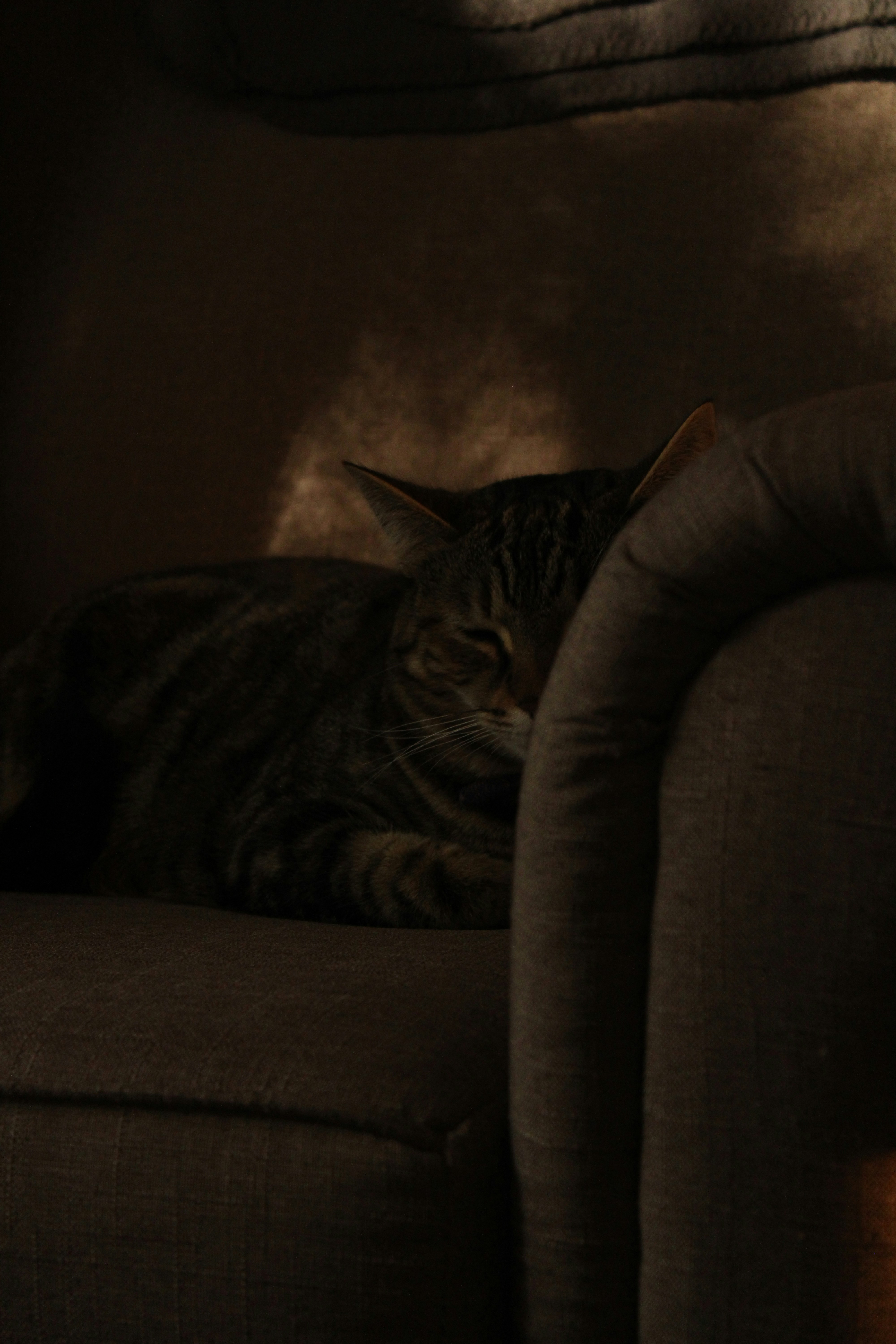 Photo by _sfletcher_