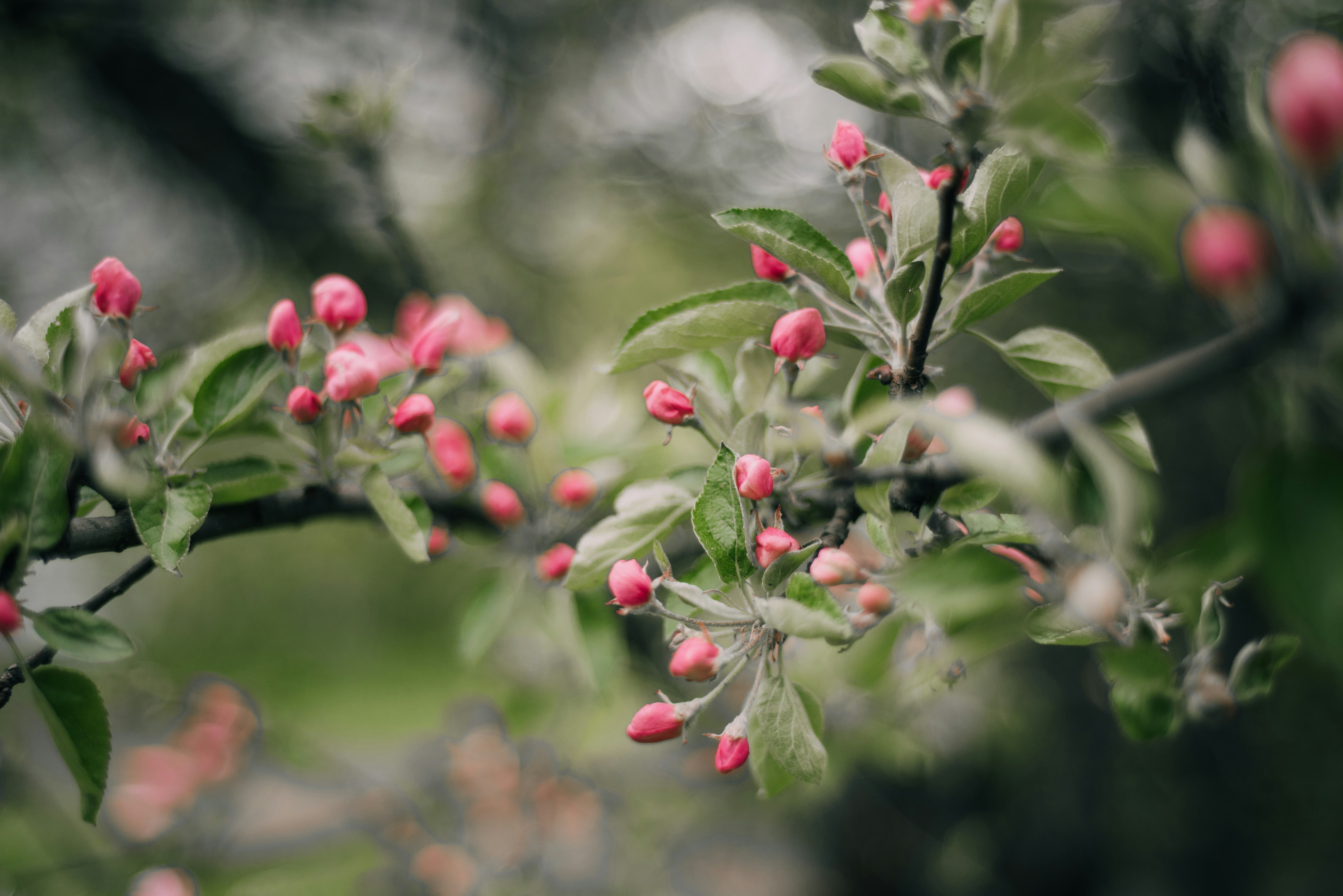 Photo by mmaslikhova