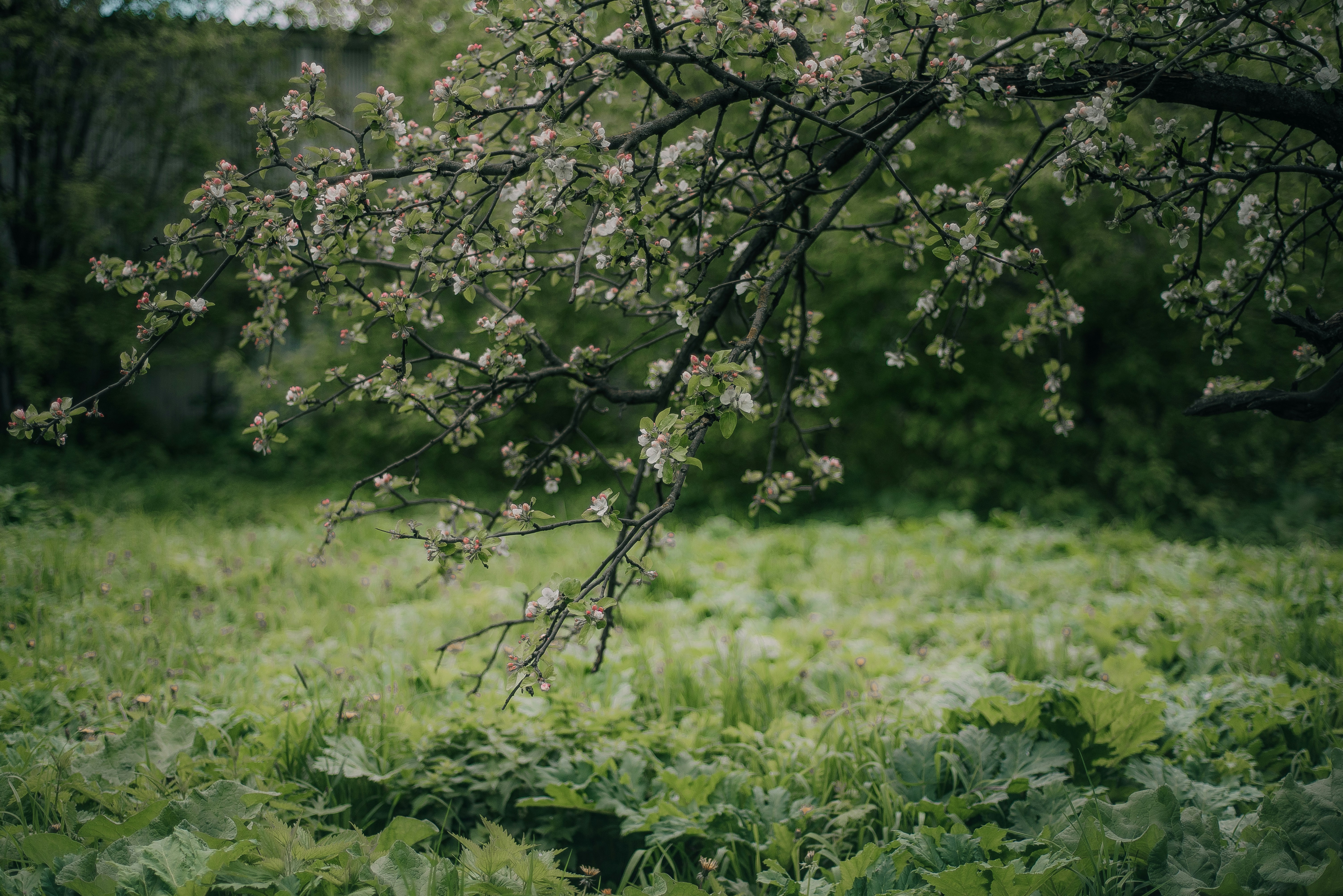 Photo by mmaslikhova