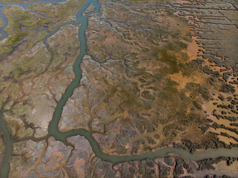 Aerial view of a wetland restoration project blending architecture with natural water flows.