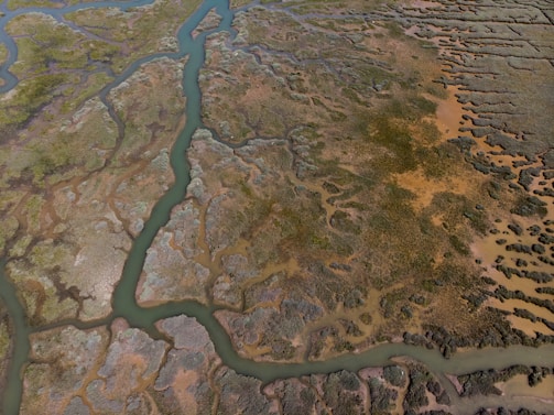 Aerial view of a wetland landscape with winding, meandering waterways and patches of vegetation creating a mosaic pattern. The water appears to be muddy brown, with various shades of green across the plant-covered areas. The texture is diverse with marshy land sections and stream channels intersecting the scene.