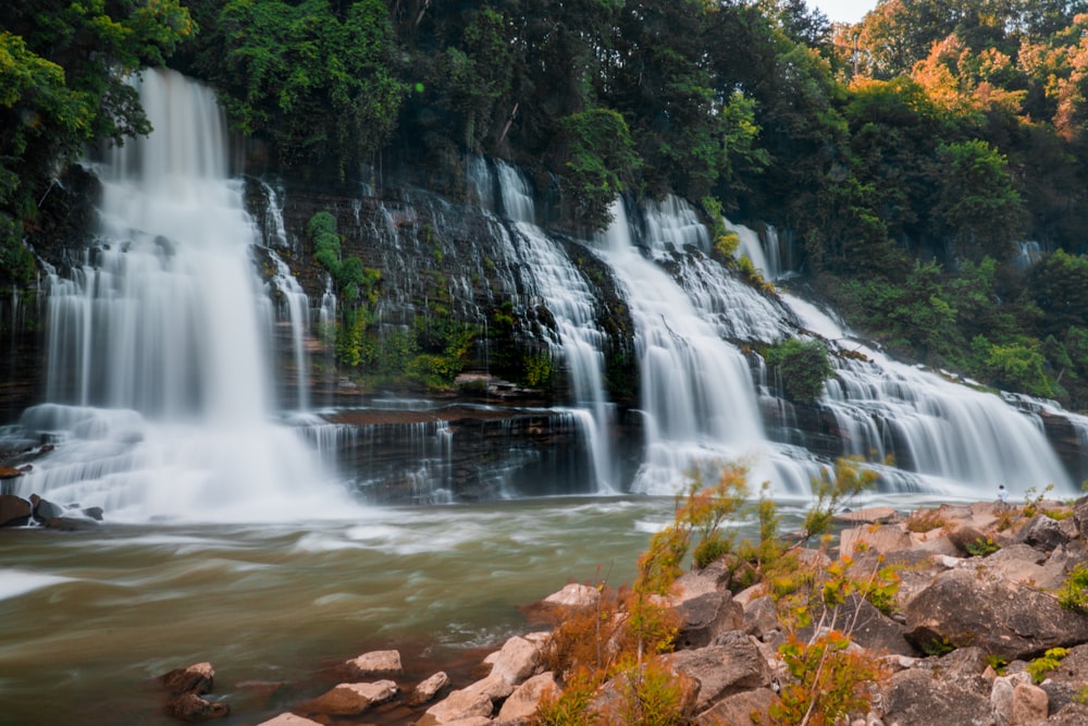 cascades au milieu de la forêt pendant la journée