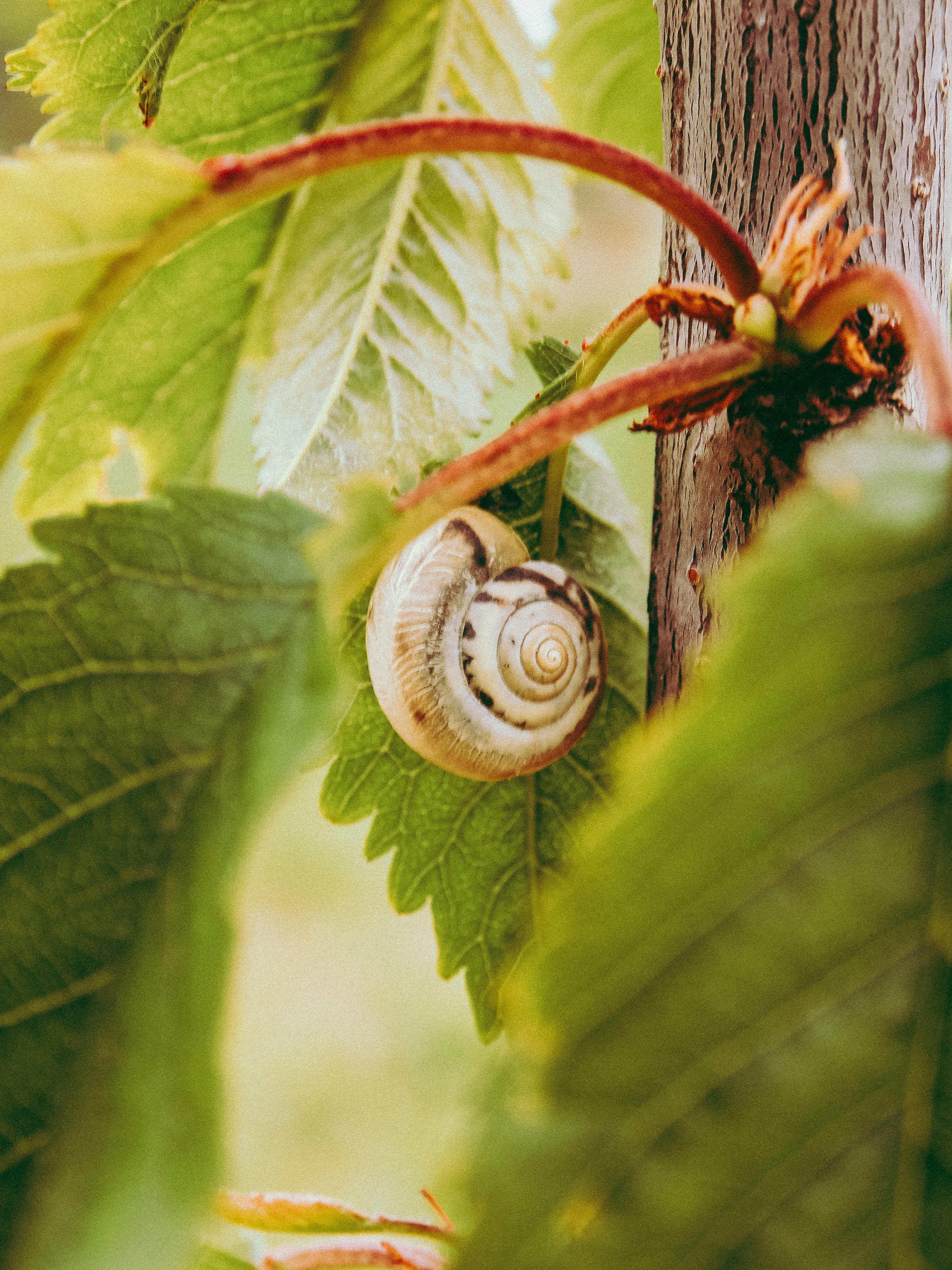 Photo by crinaparasca