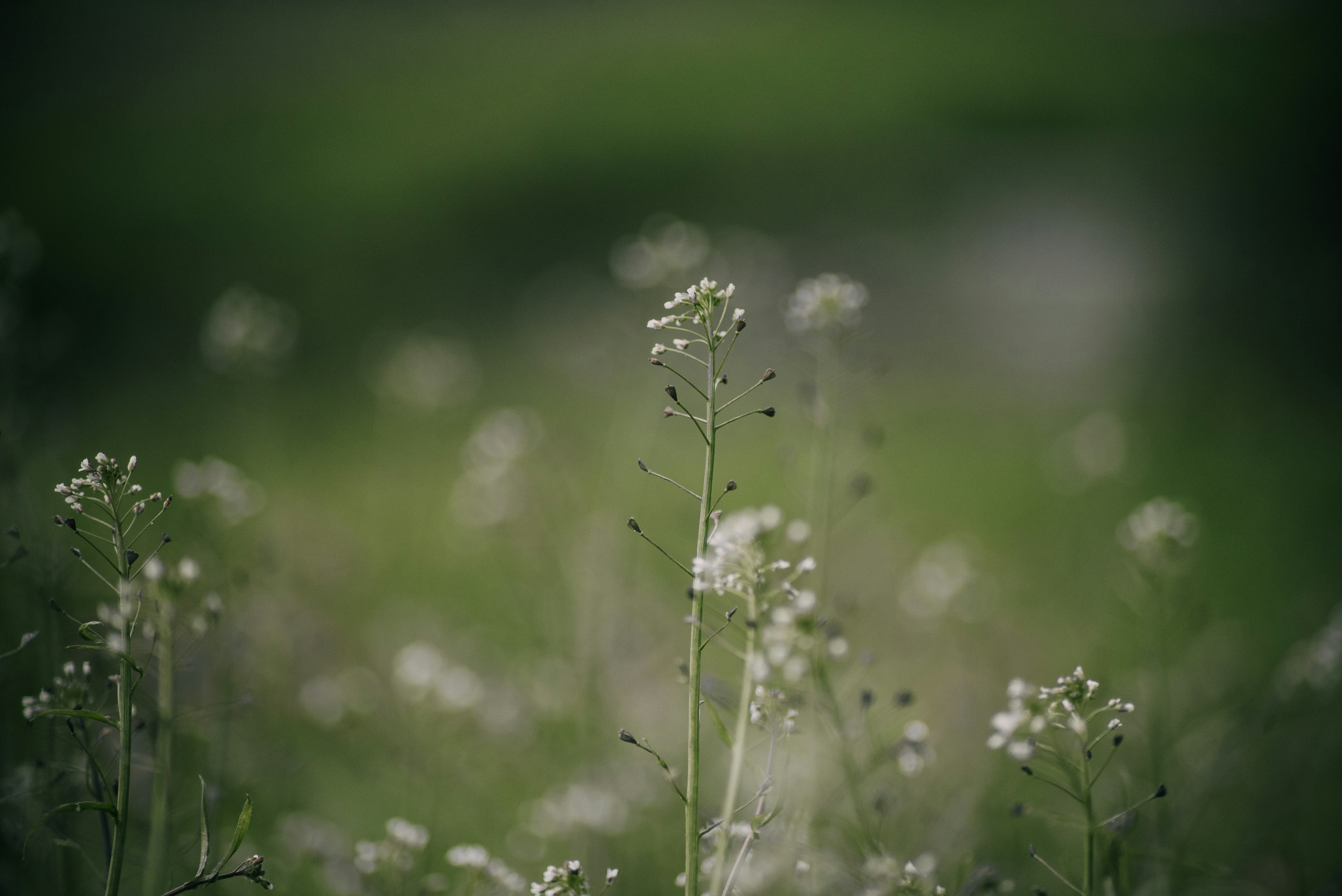 Photo by mmaslikhova