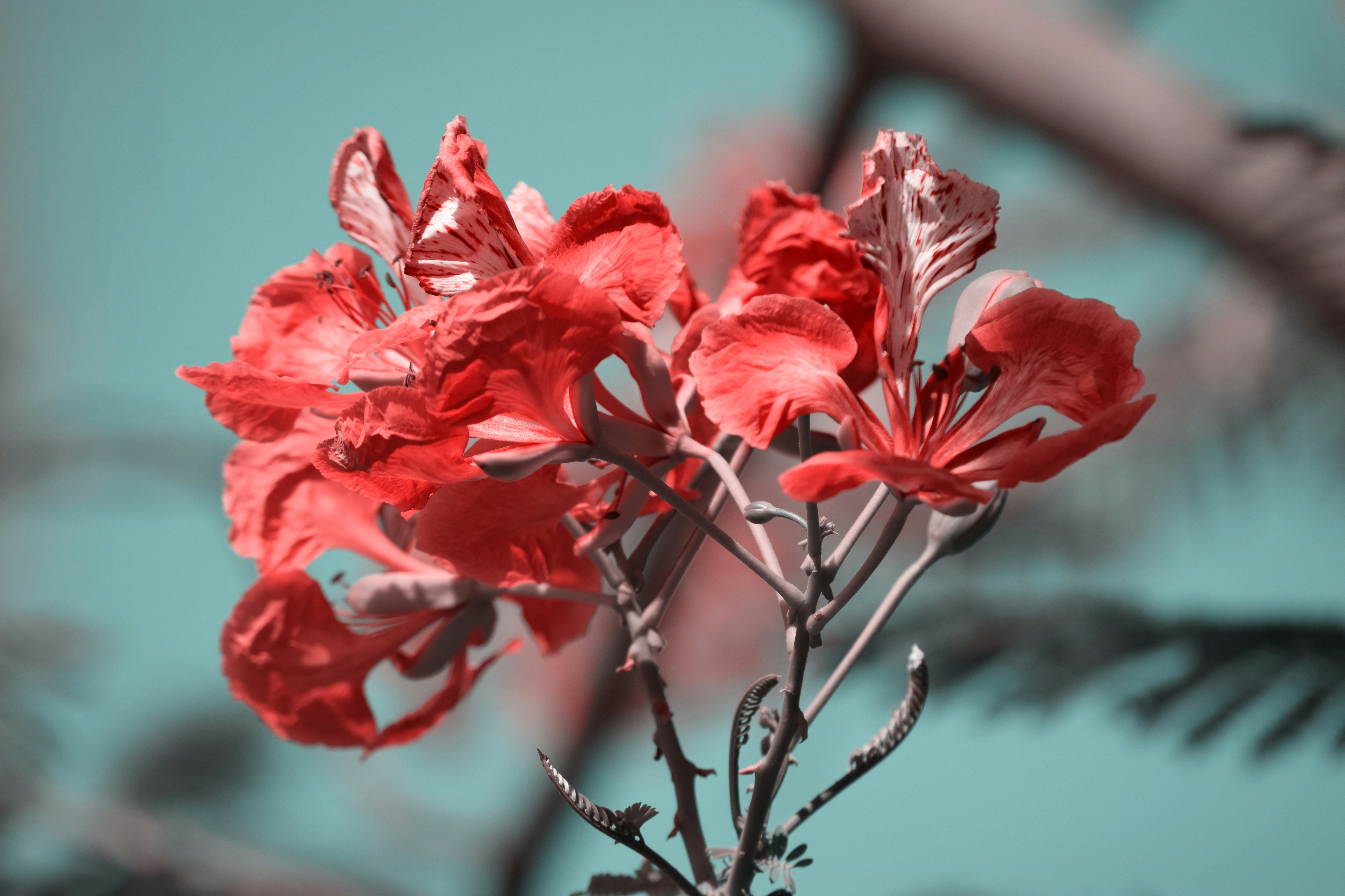 Photo by malharrathod