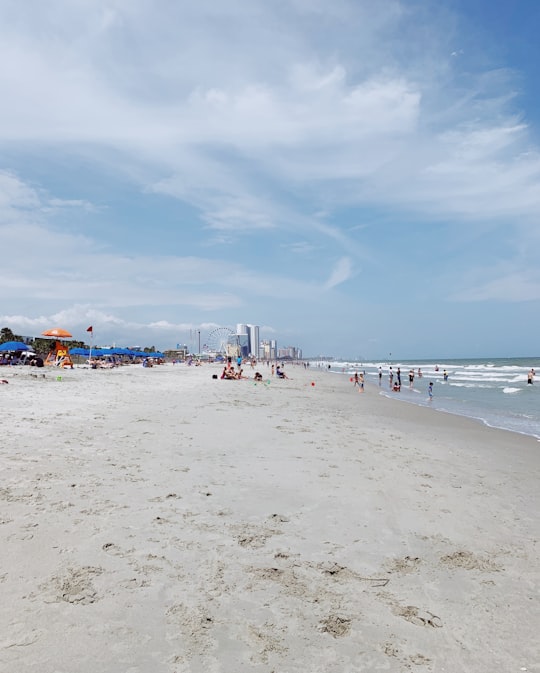people on beach during daytime in Myrtle Beach United States
