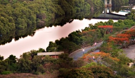 A serene river flows gently through a lush, verdant landscape, bordered by dense green trees. The surface of the water mirrors the surrounding foliage and sky. Bright red flowering trees add vibrant splashes of color along a road that meanders next to the river. A small, modern structure with a white roof is partially visible amidst the greenery. In the background, a bridge with tall columns crosses over the river.