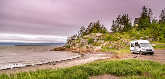 green trees on brown sand near body of water during daytime in Kamouraska Canada