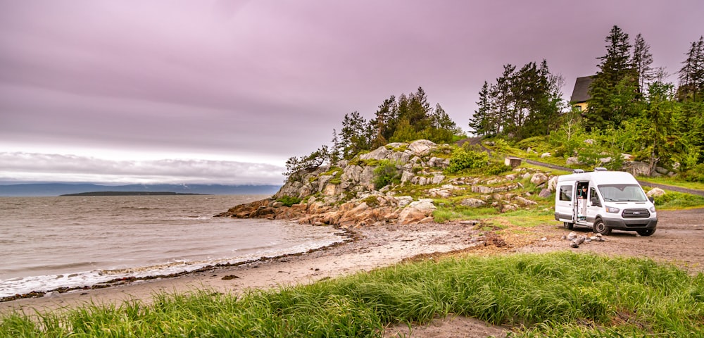 green trees on brown sand near body of water during daytime