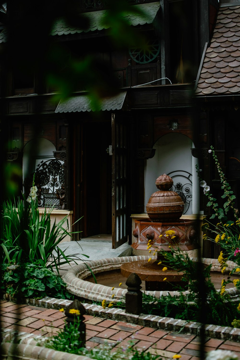 brown wooden door near green plants