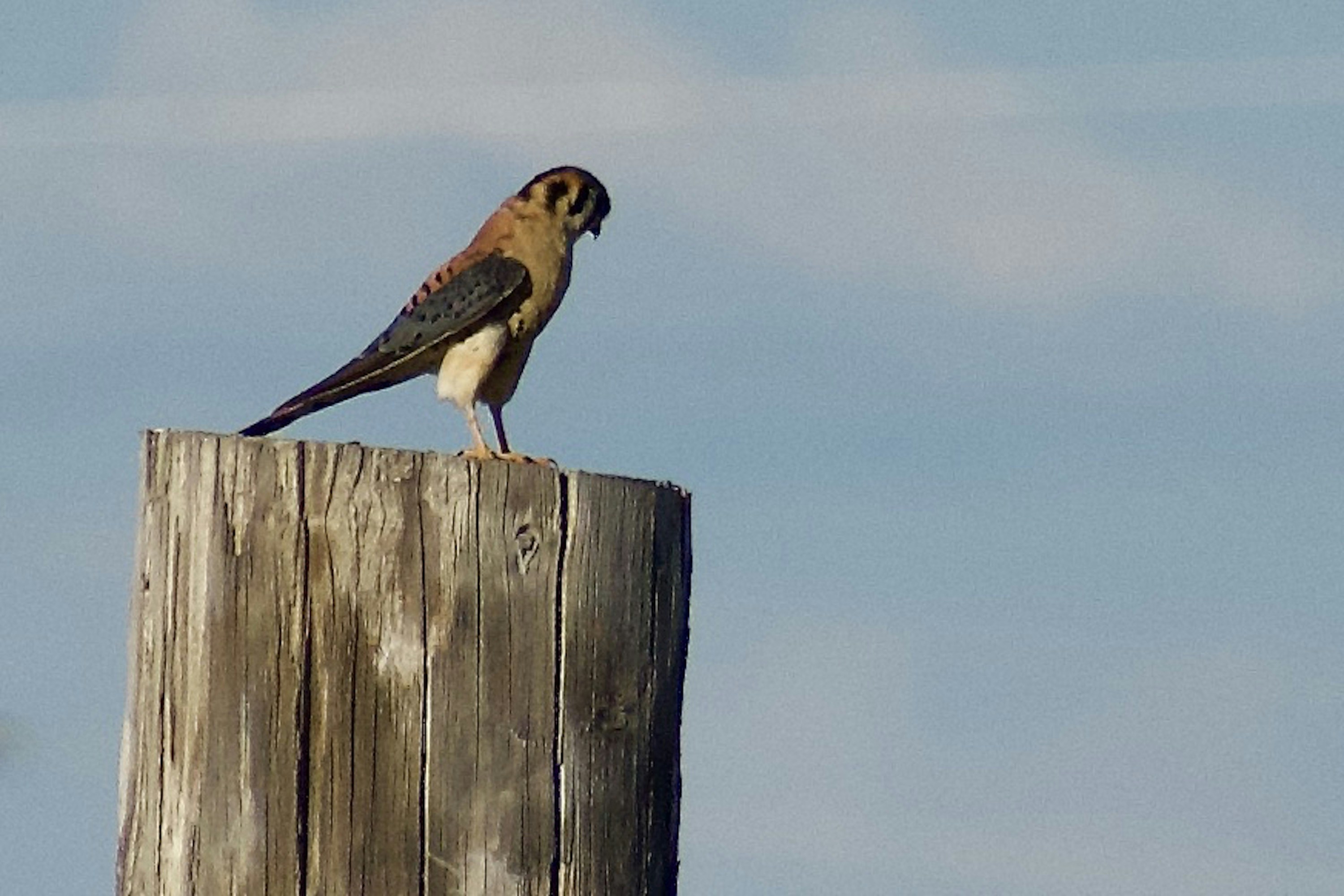 Photo by elisastonephotography