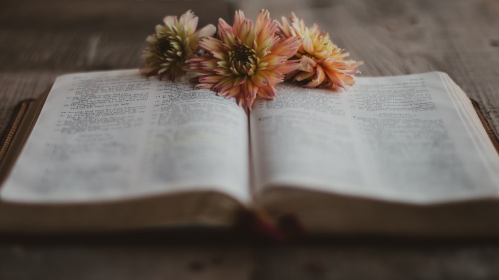 orange flower on book page