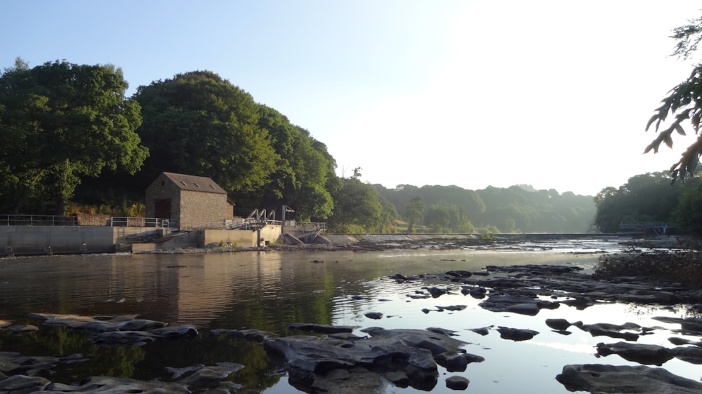 brown wooden house on rocky shore near green trees during daytime