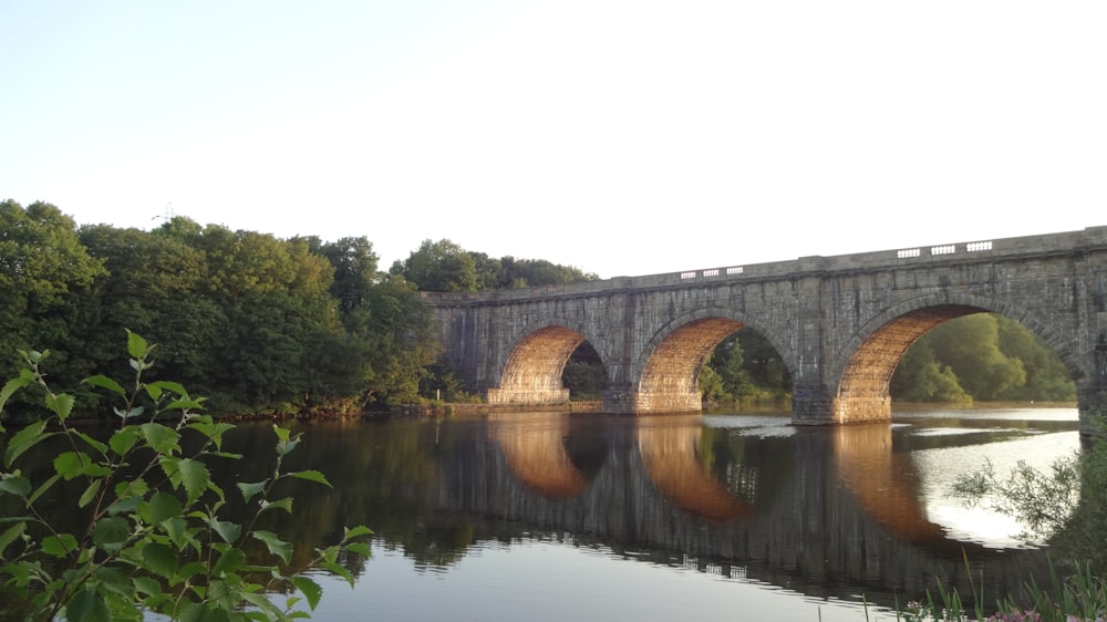 Graue Betonbrücke über den Fluss