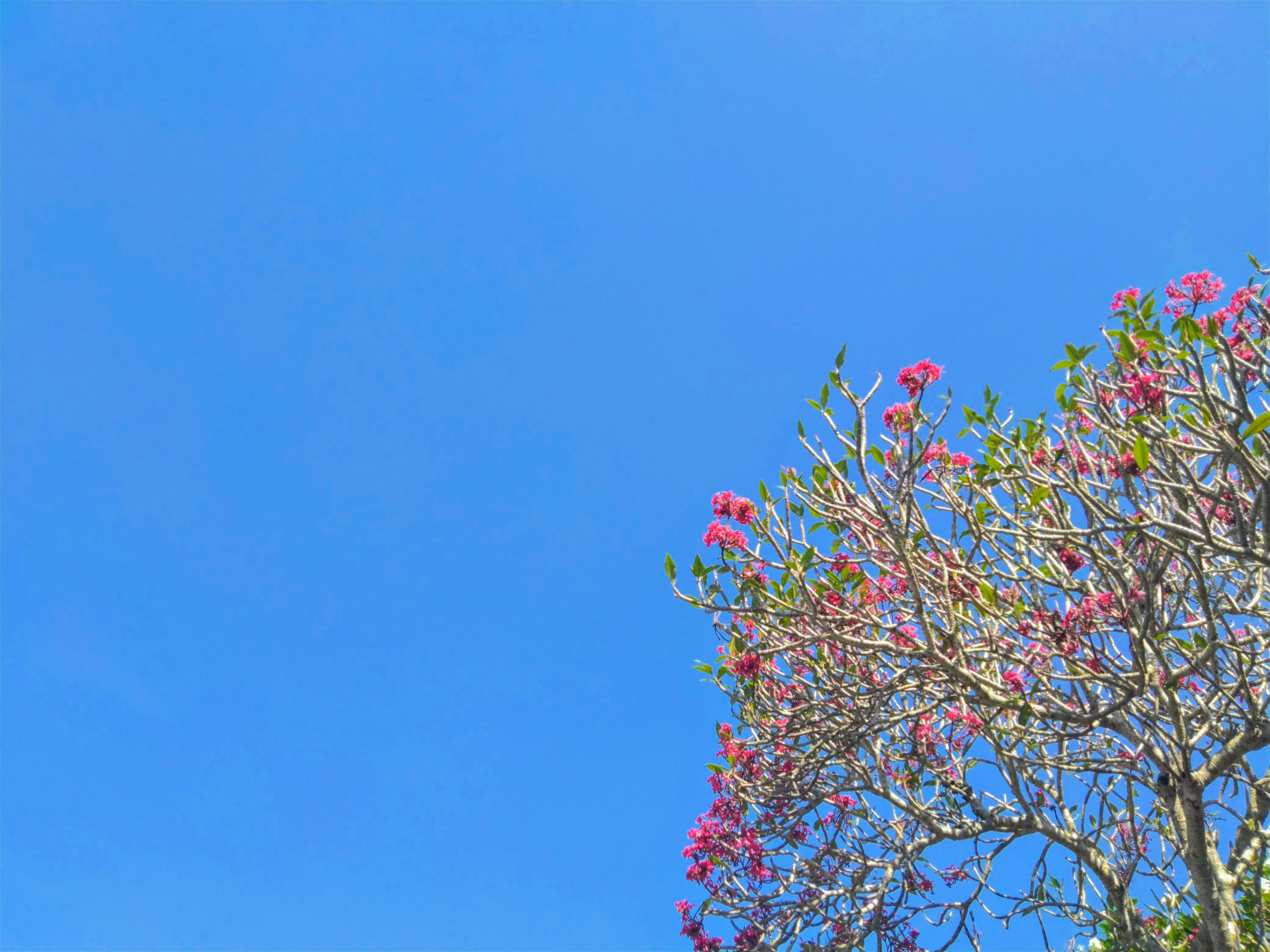 Photo by restusisworo