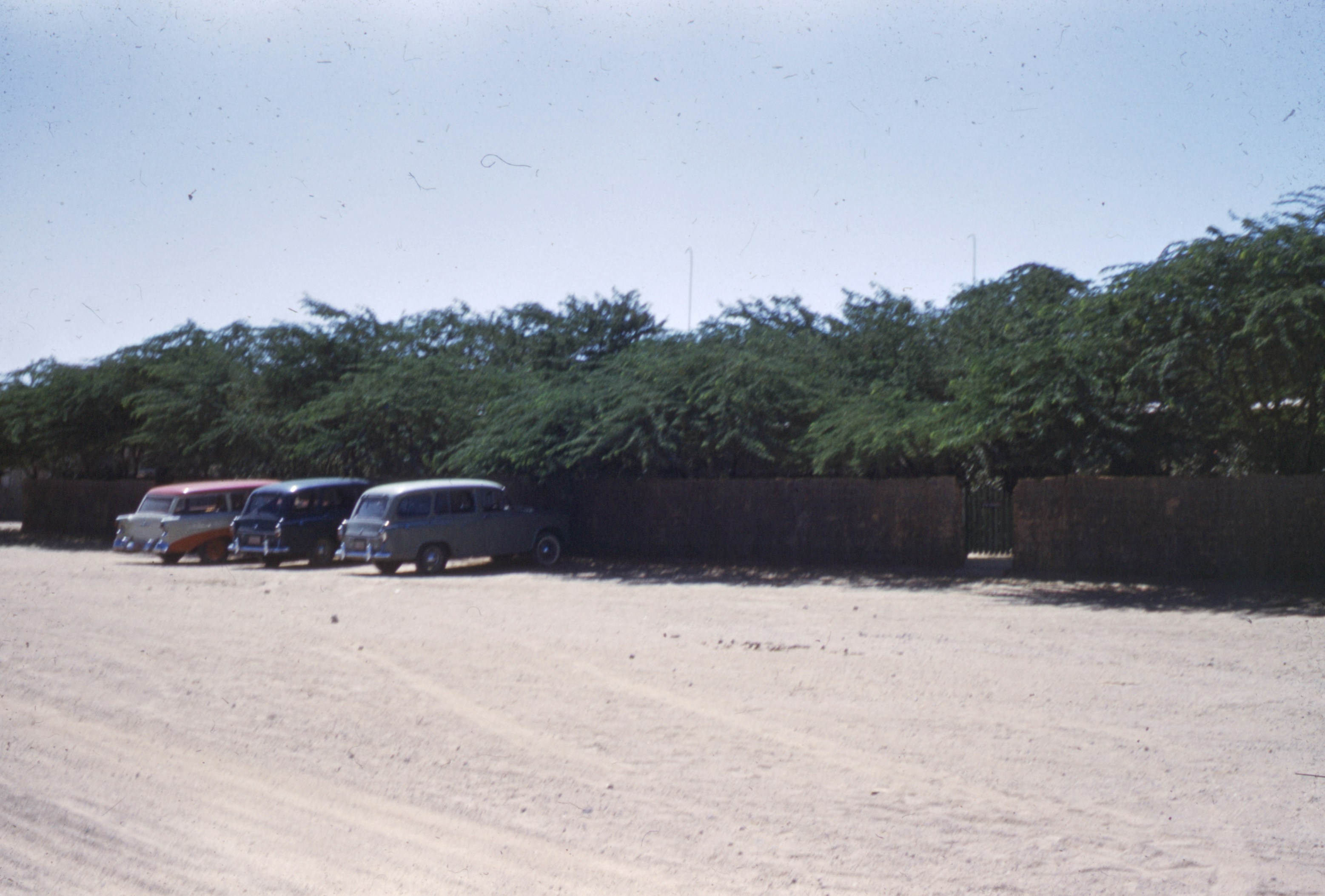 Photo by brett_jordan