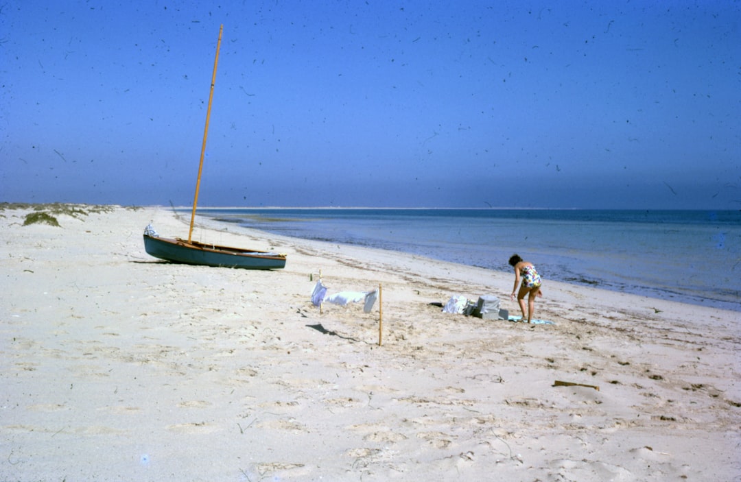 people on beach during daytime