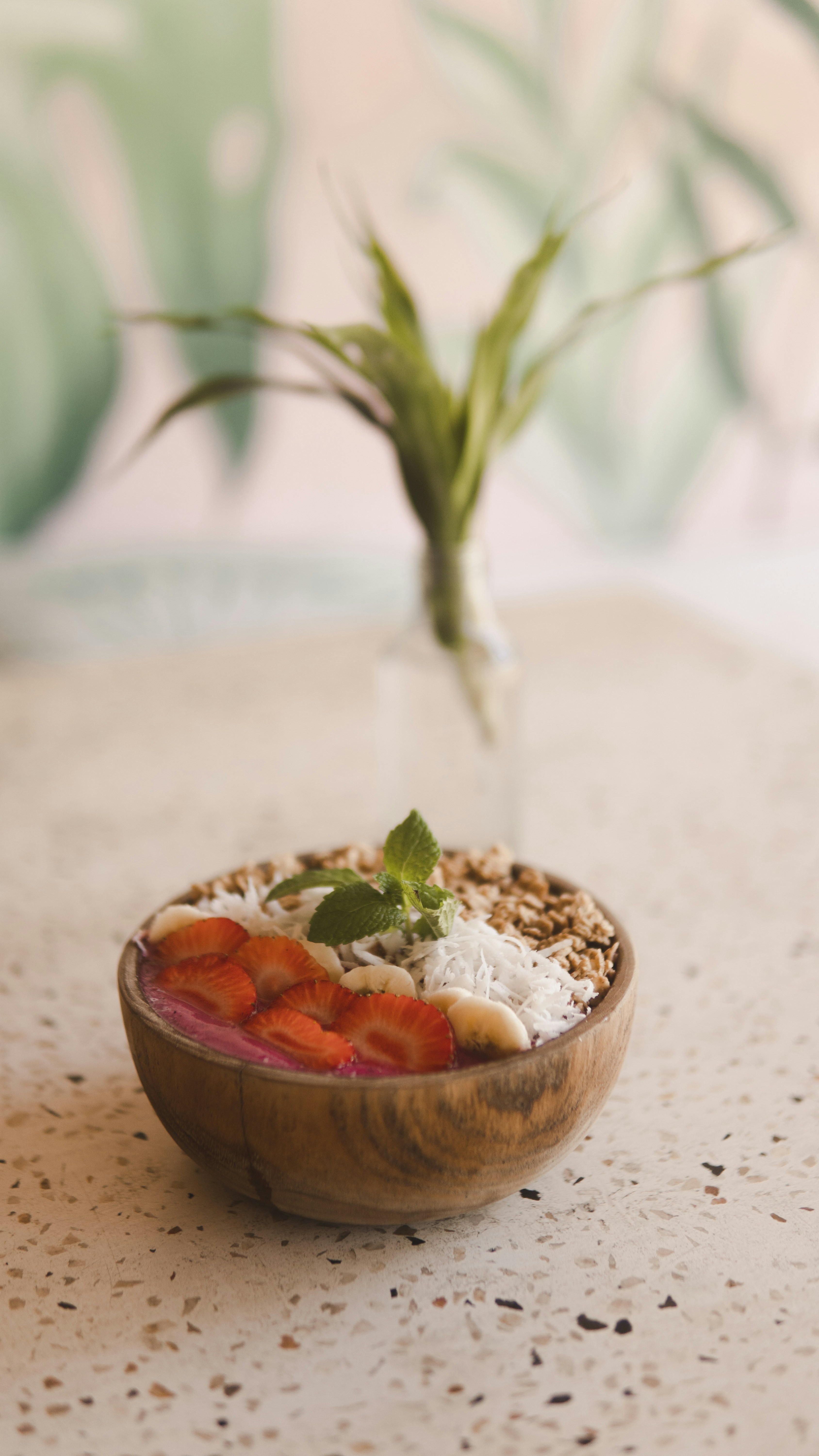 Plant-based restaurant spread with colourful vegan dishes